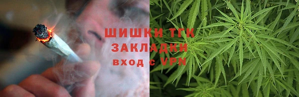 гашик Алексеевка