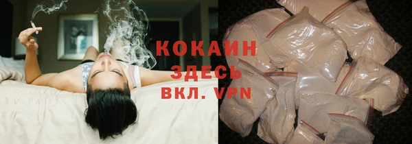 гашик Алексеевка