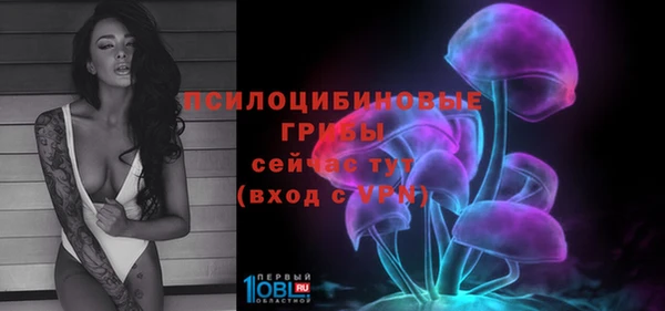 гашик Алексеевка