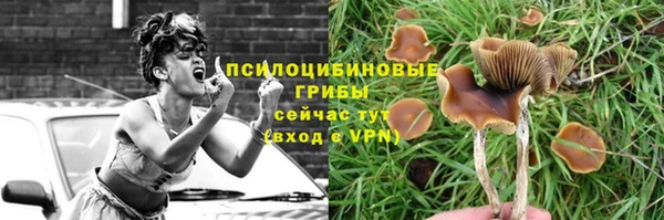 гашик Алексеевка